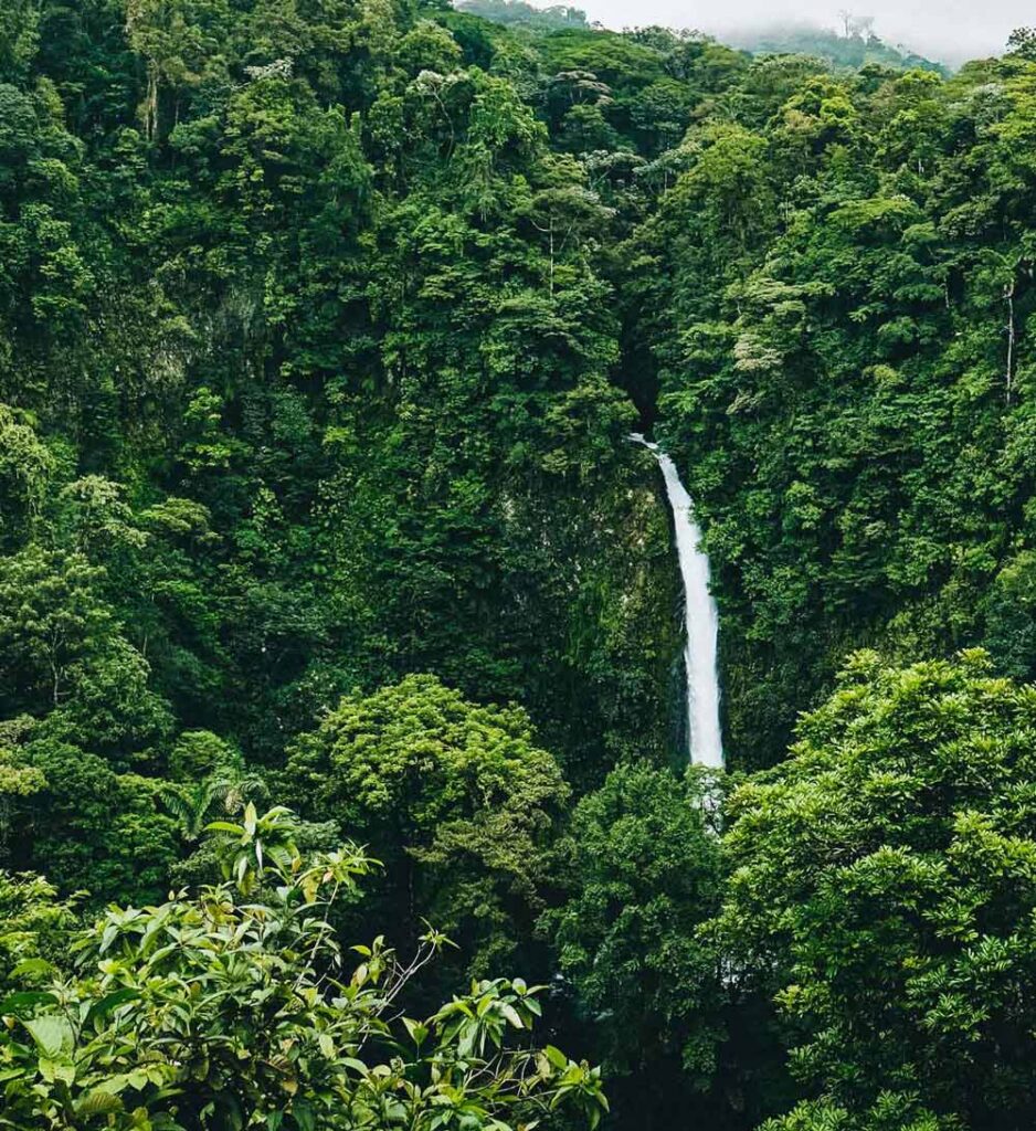 beautiful-lush-nature-landscape-supported-by-sustainability